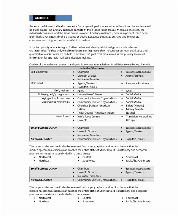 Integrated Marketing Plan Template