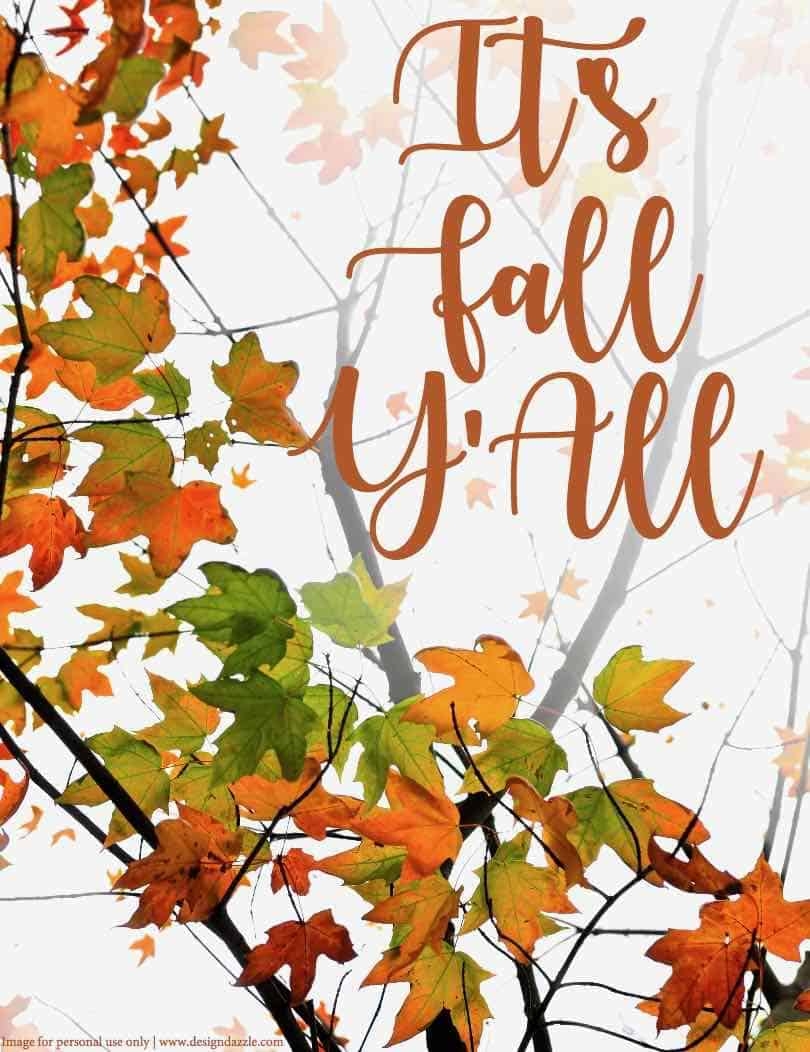 It 39 s Fall Y 39 All Free Printable Design Dazzle