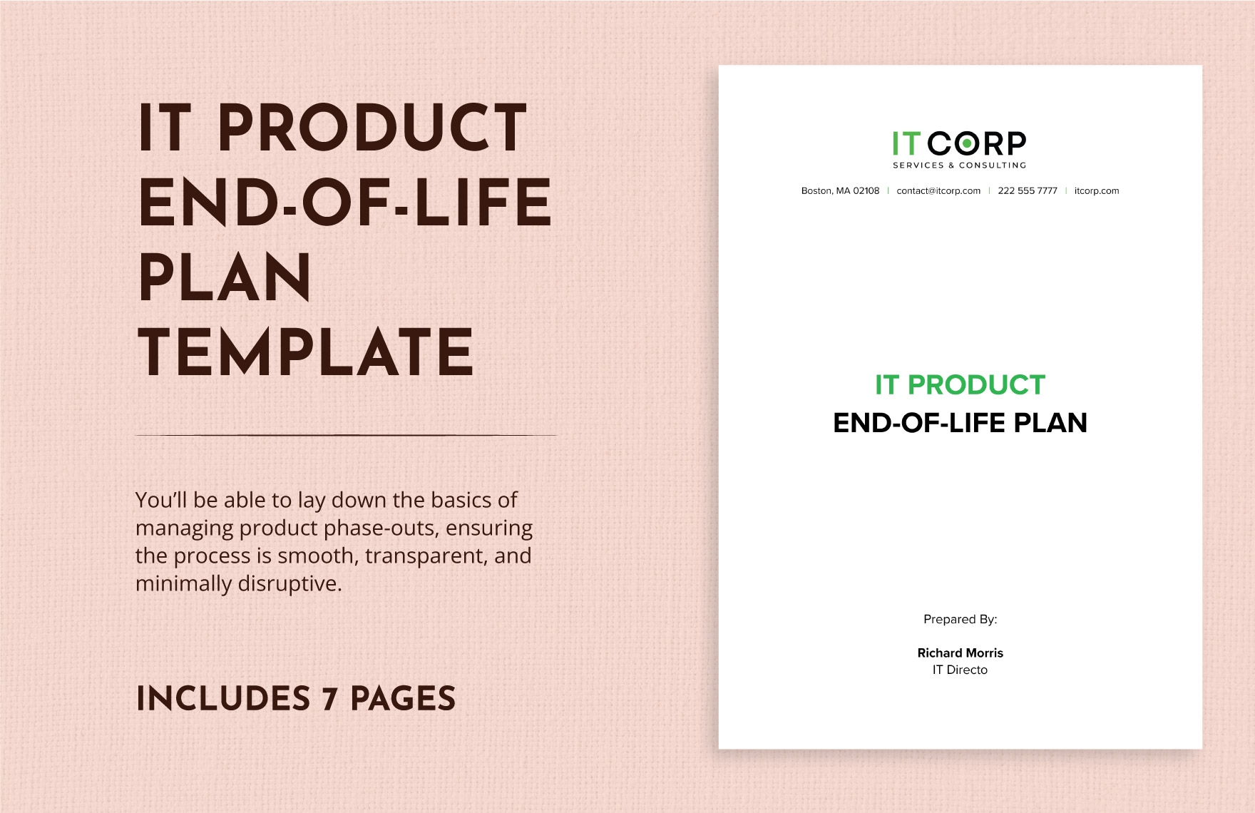 IT Product End of Life Plan Template In Word PDF Google Docs 