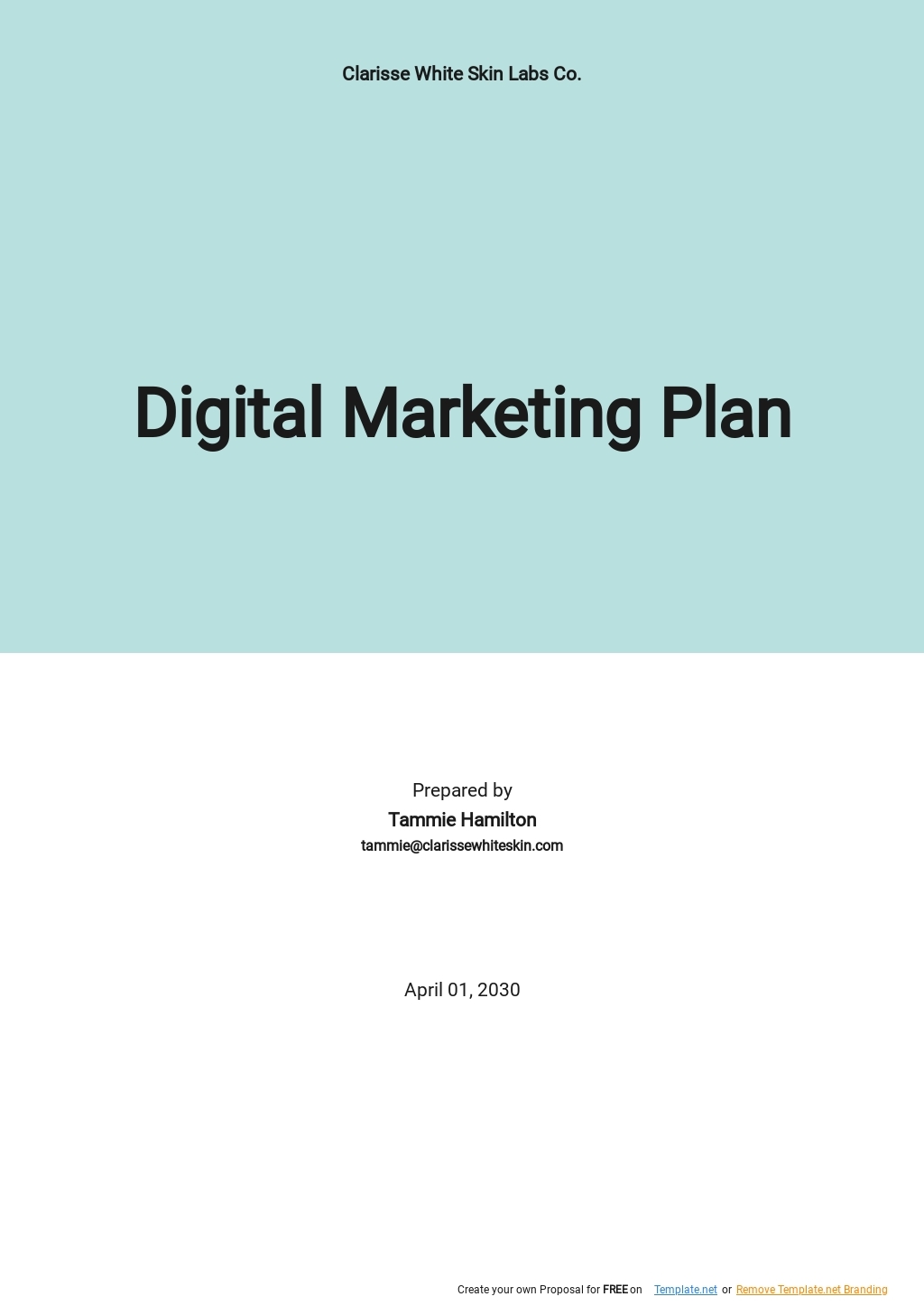 Marketing Plan Template Word Nehru Memorial