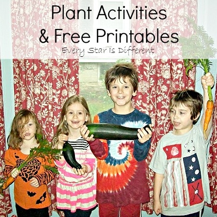 Montessori inspired Plant Activities With Free Printables Every Star 