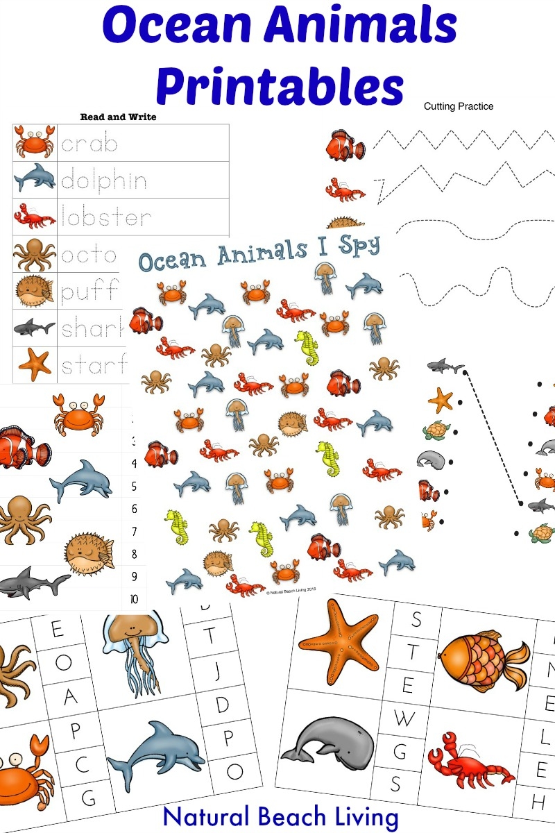 Montessori Theme Ocean Preschool Activities Printables Natural 