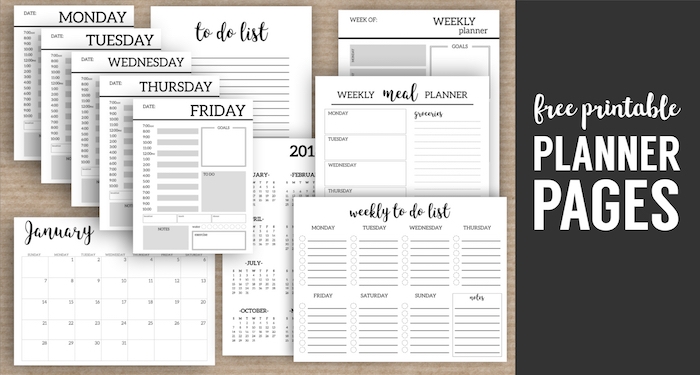 Monthly Planner Template Printable Planner Pages Paper Trail Design