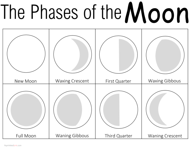 phases of the moon oreo activity printable