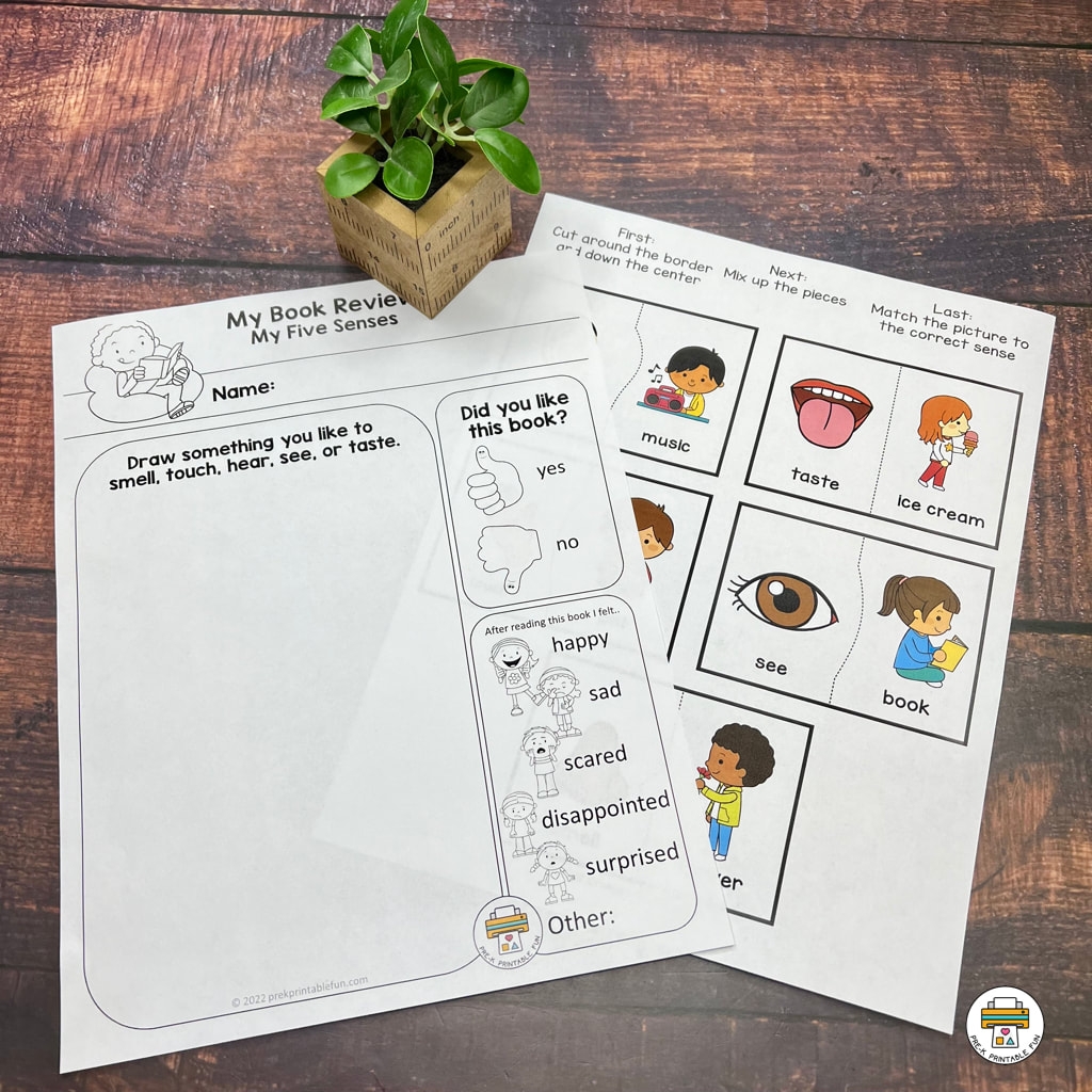 My Five Senses Pre K Book Companion Storytime Activities