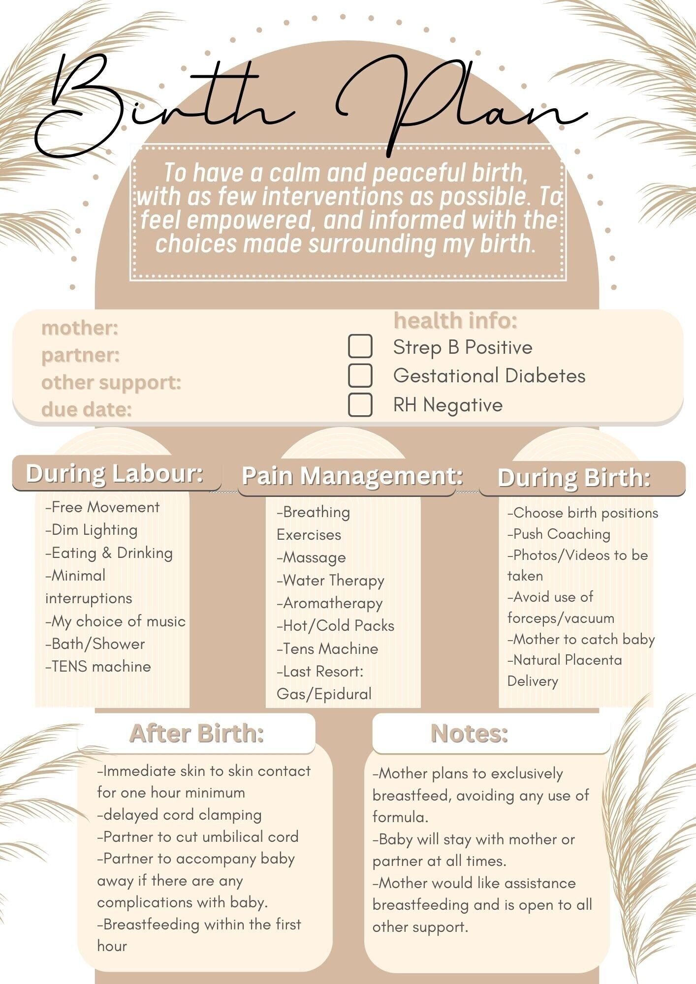 Neutral Natural Birth Plan Template Digital Download Print Ready Etsy