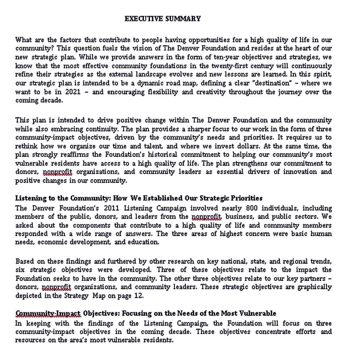 Non Profit Organization Strategic Plan Template Room Surf