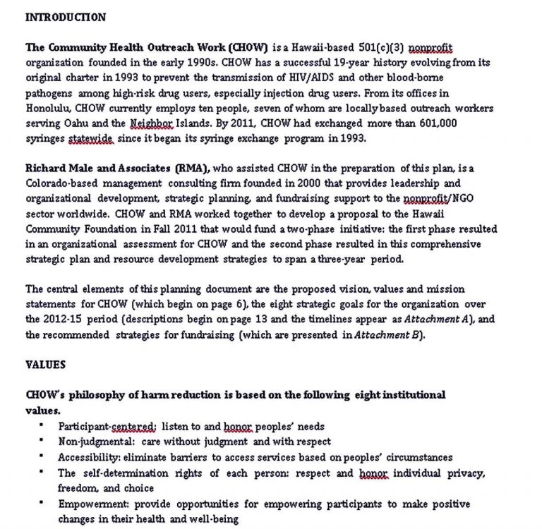 Non Profit Organization Strategic Plan Template Room Surf