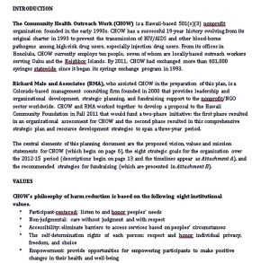 Non Profit Organization Strategic Plan Template Room Surf