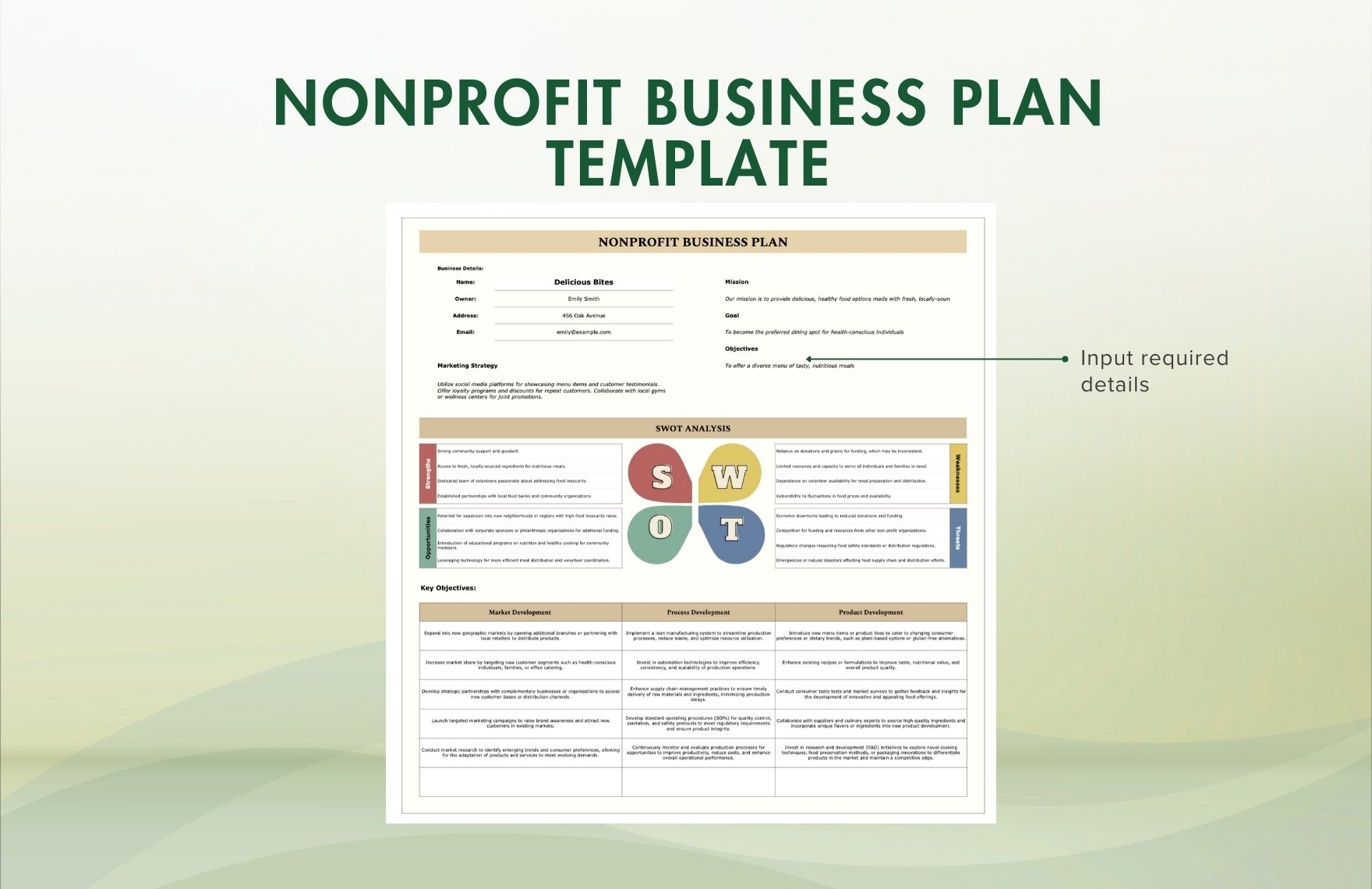 Nonprofit Business Plan Template Template