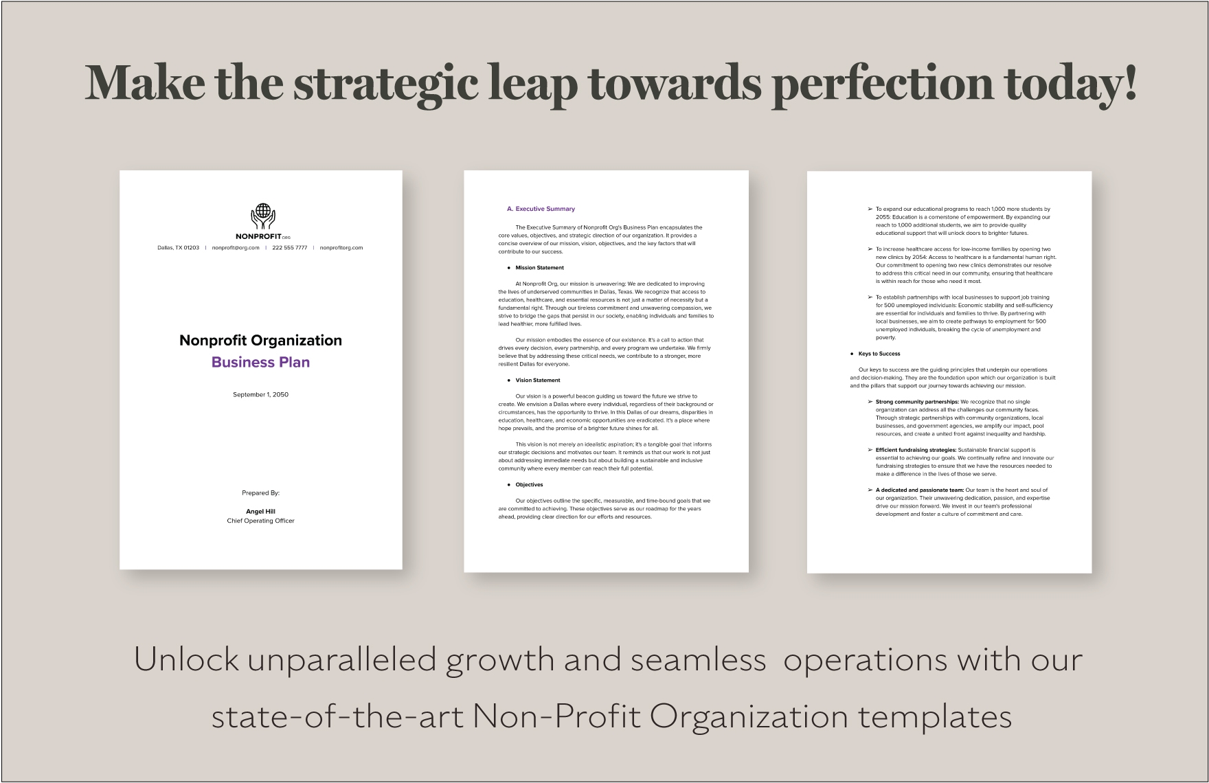 Nonprofit Organization Business Plan Template In Word PDF Google Docs 