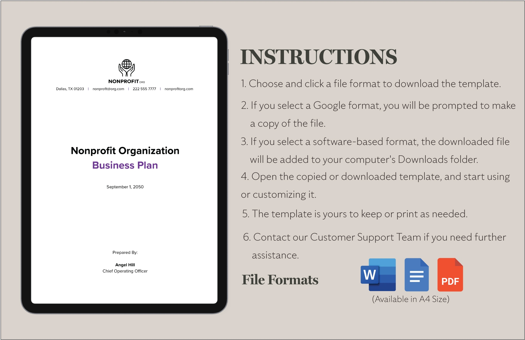 Nonprofit Organization Business Plan Template In Word PDF Google Docs 