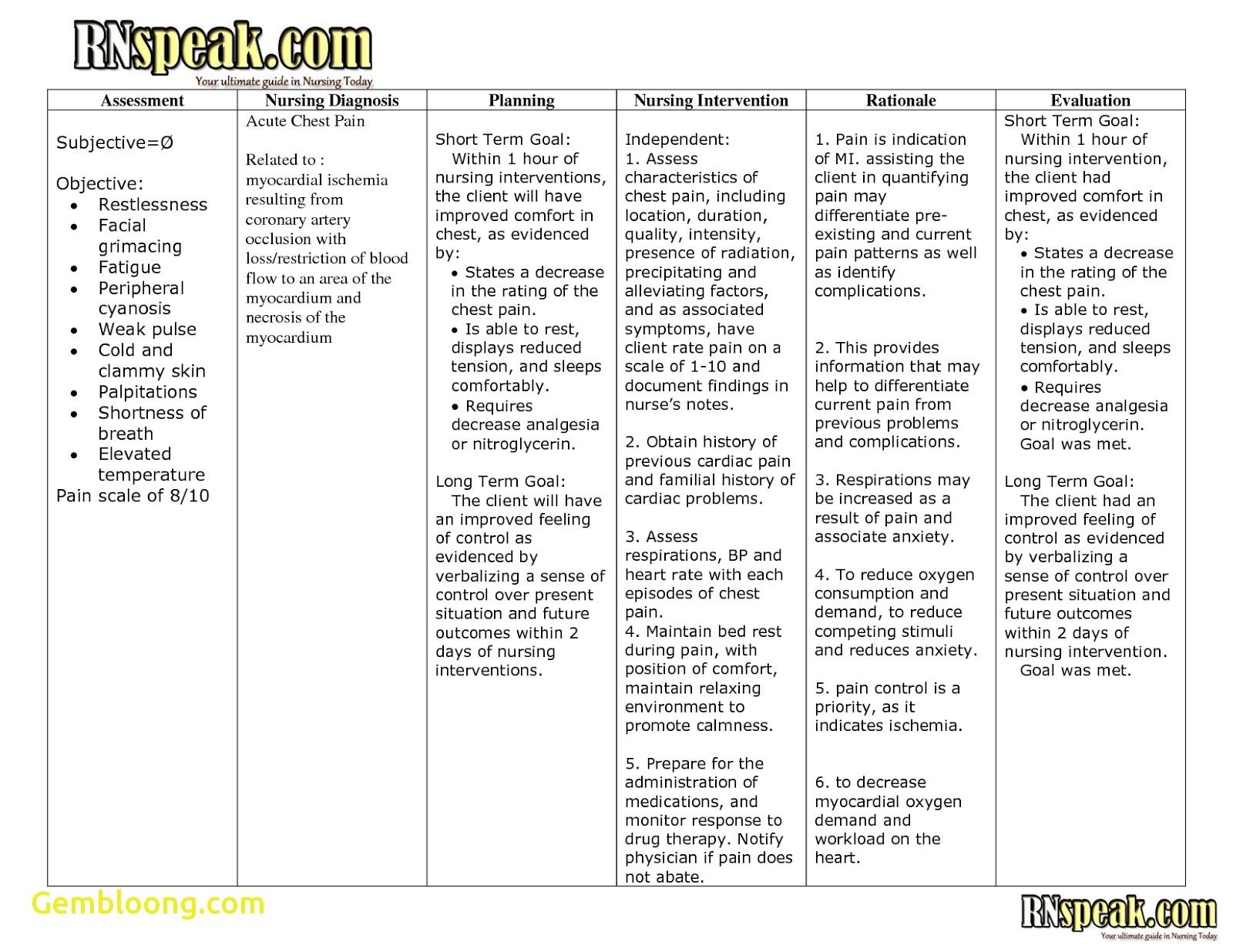 Nursing Diagnosis Care Plan Template Modern Resume Template Word