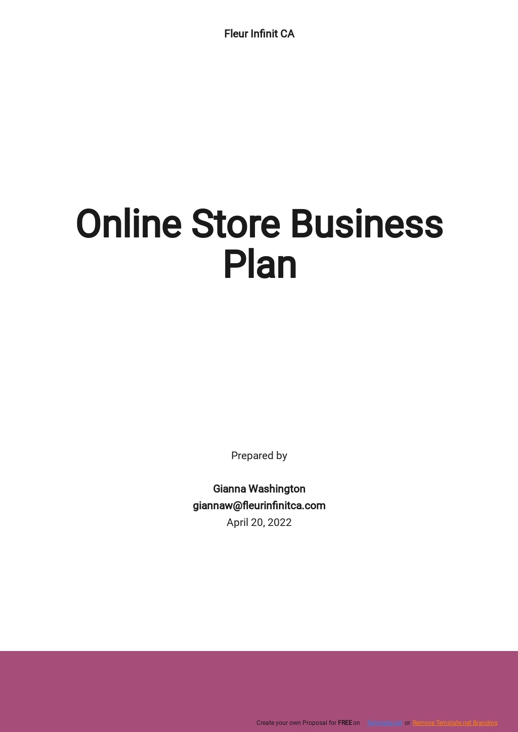 Online Retail Store Business Plan Template Google Docs Word Apple 