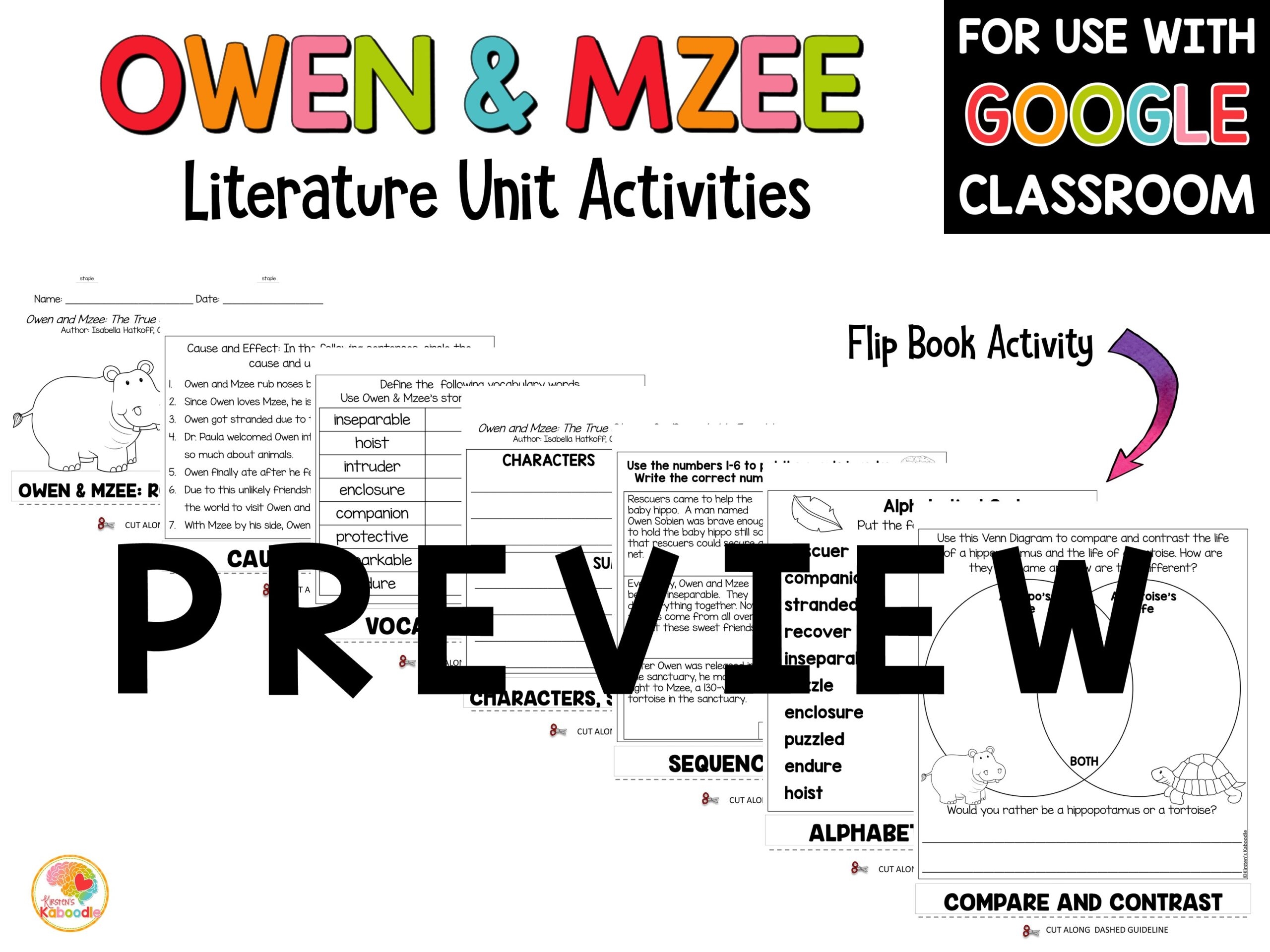 Owen And Mzee Activities