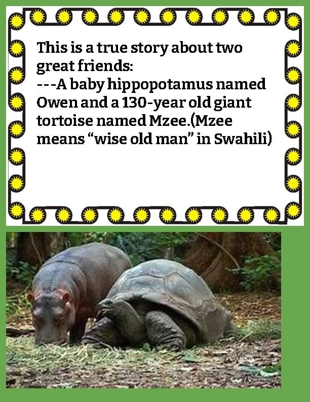 OWEN MZEE READING LESSONS AND ACTIVITIES Classful
