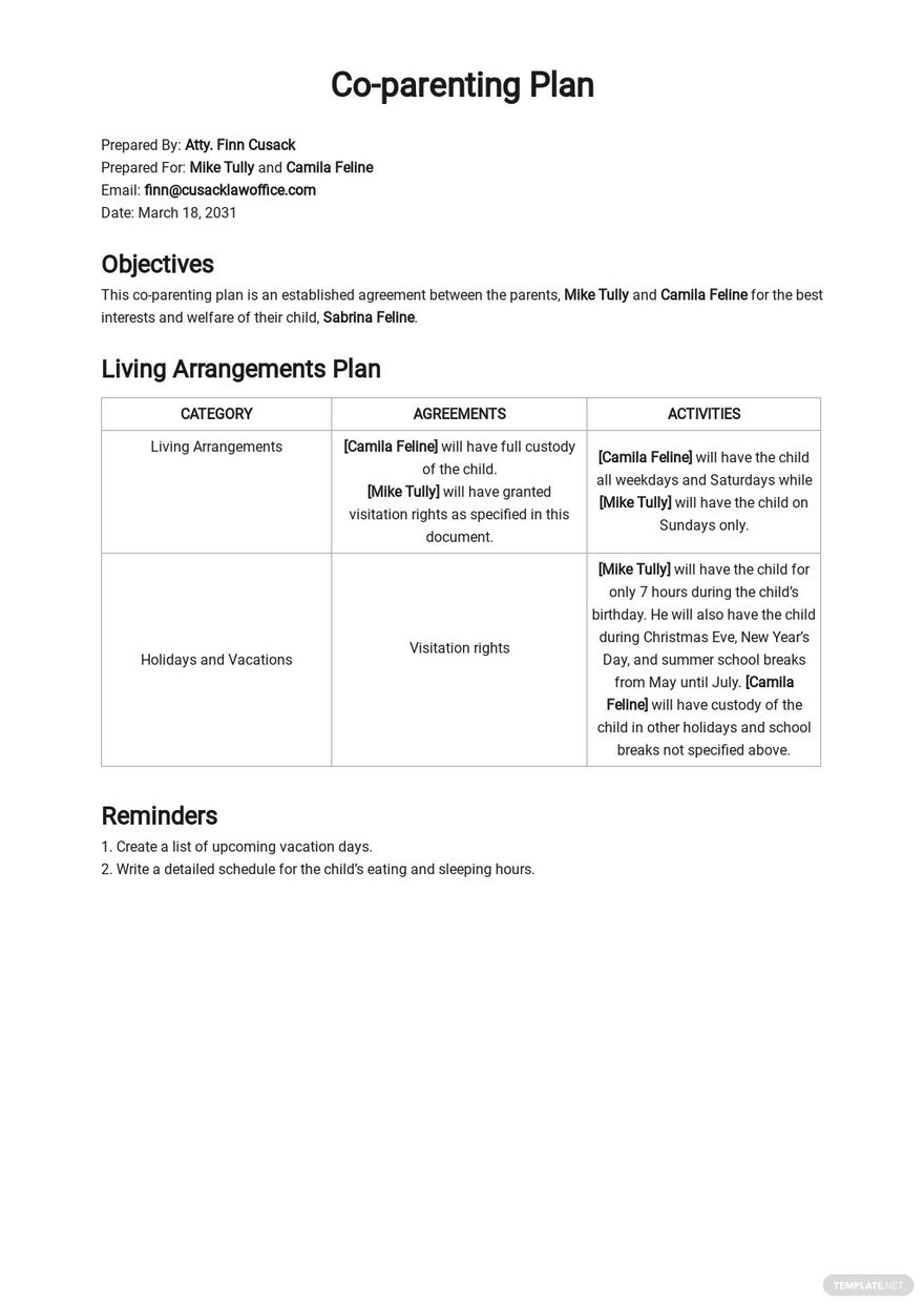 Parenting Plans Templates Format Free Download Template