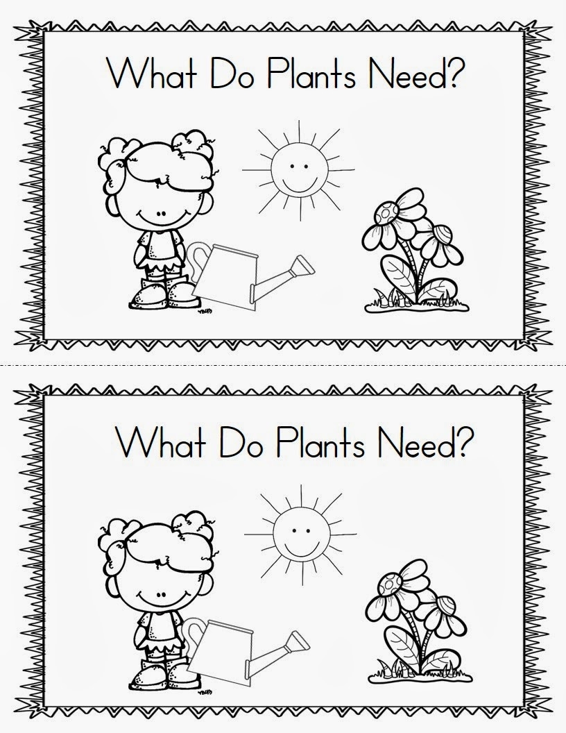 plant activities printables