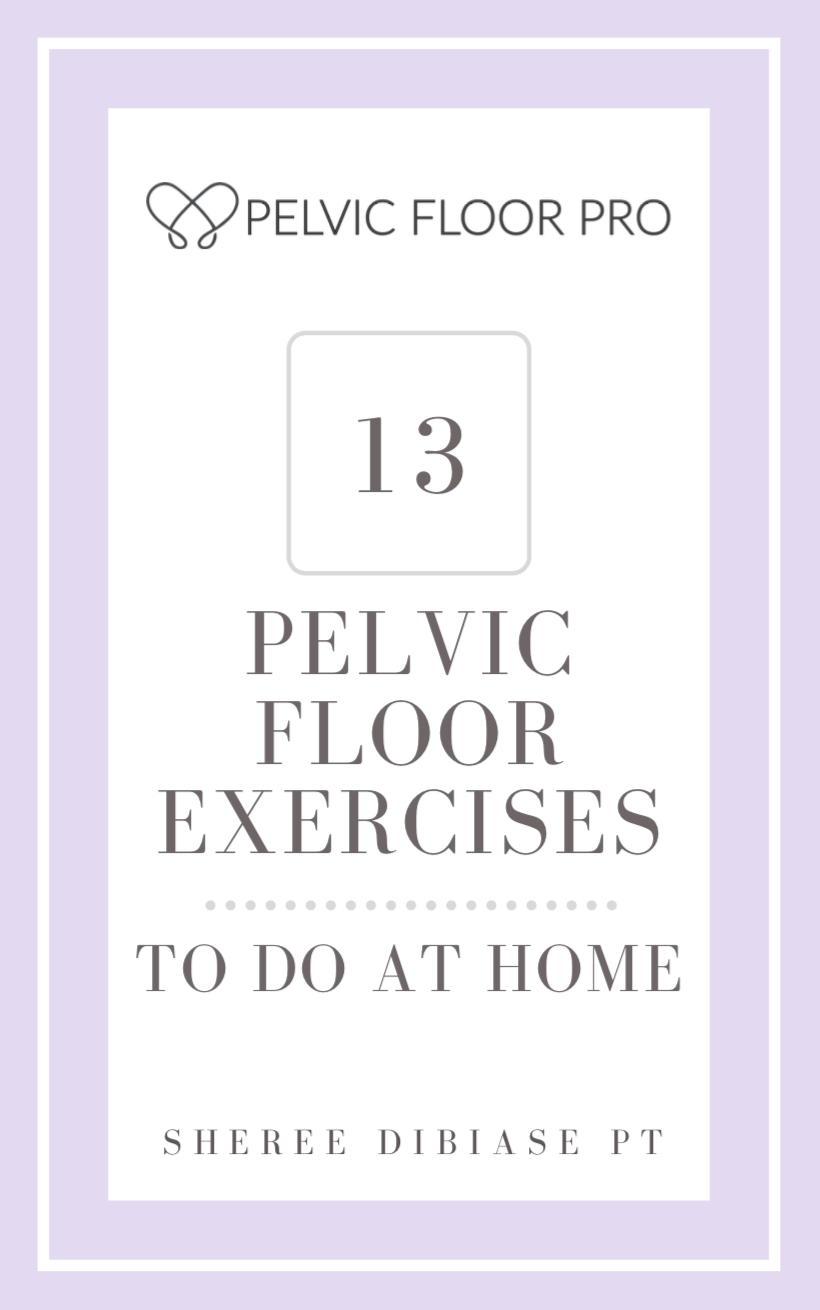 Pelvic Floor Exercises PDF Pelvic Floor Pro