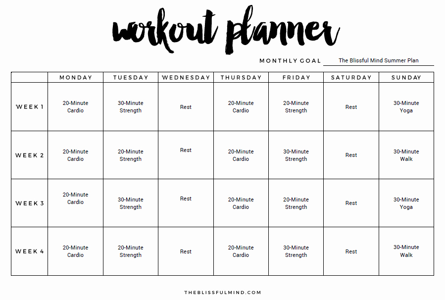 Personal Trainer Workout Plan Template