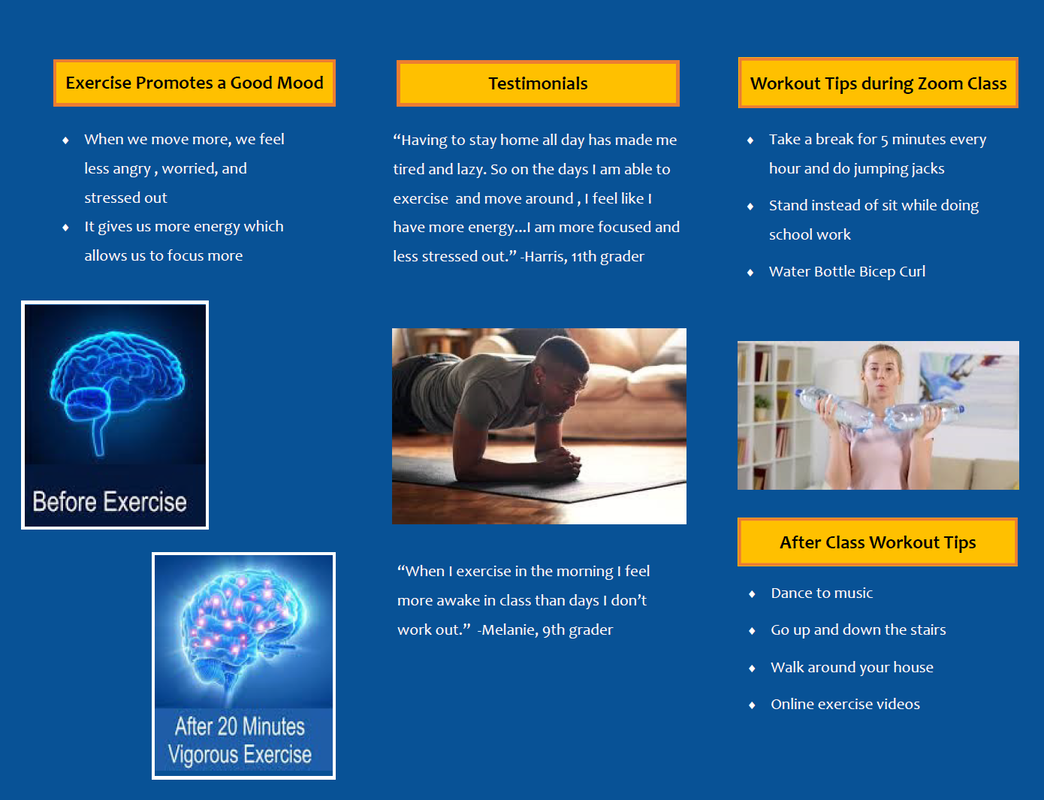 Physical Activity Brochure SARA BROWN