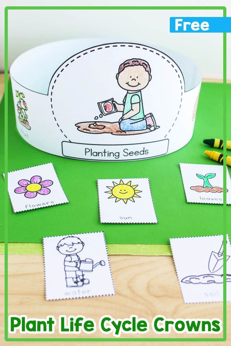 Plant Life Cycle Hats Free Printable Flower Life Cycle Preschool 