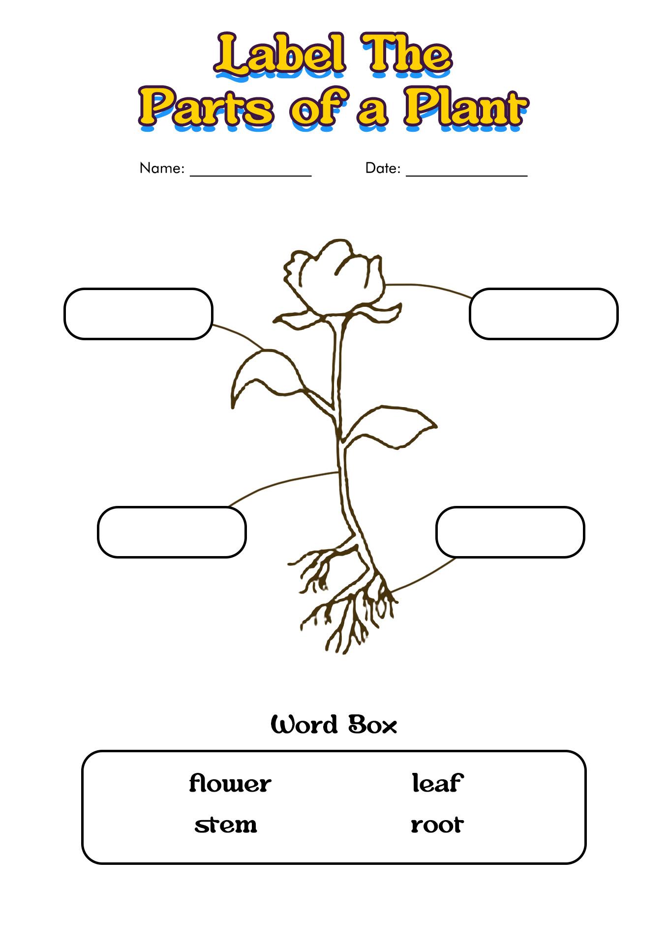 Plant Parts Printable Printable Word Searches