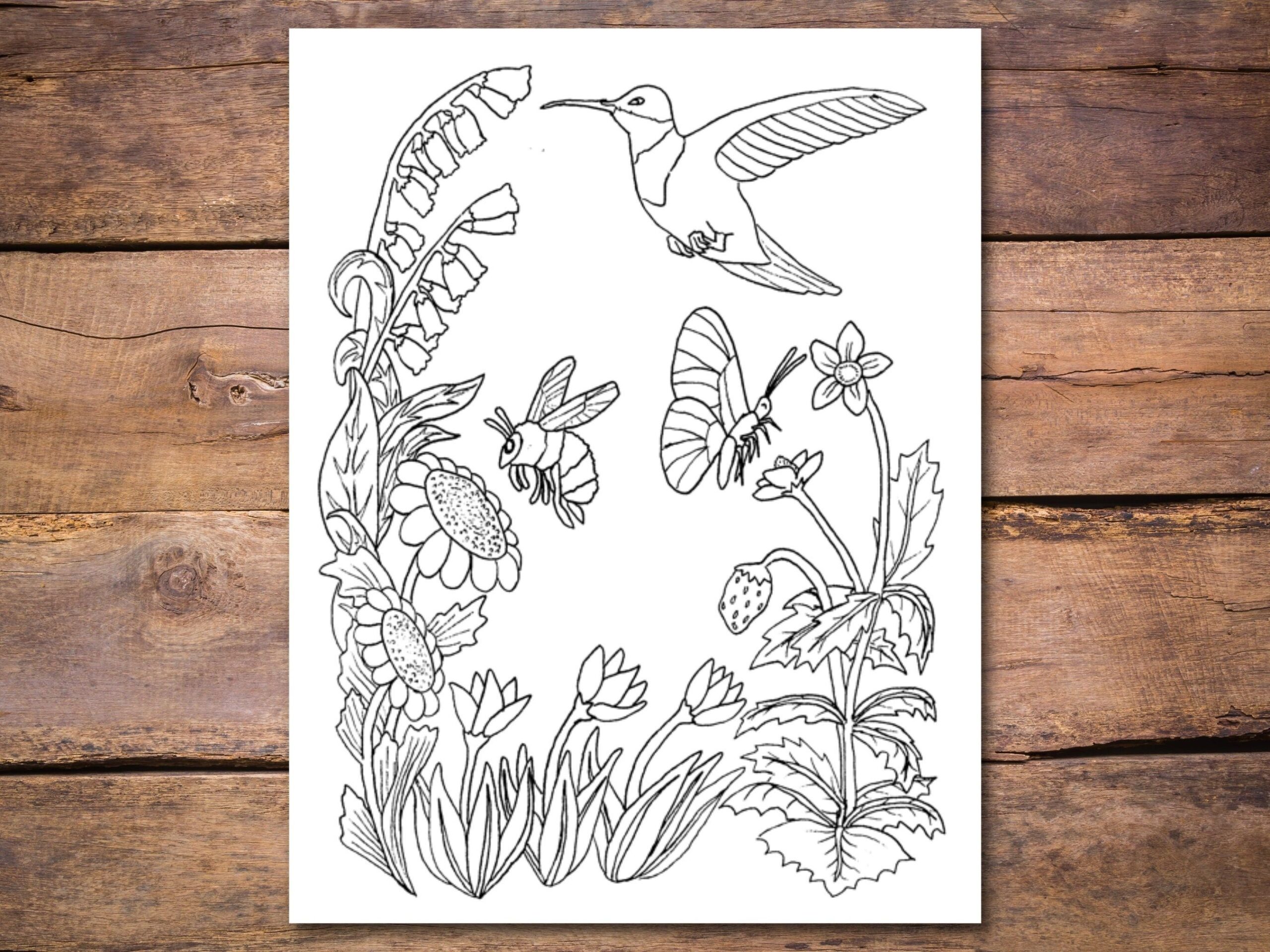Pollination Coloring Page Printable Pollinators Coloring For Kids In