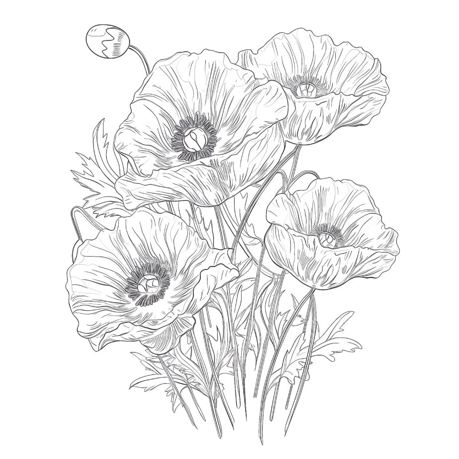 printable coloring pictures