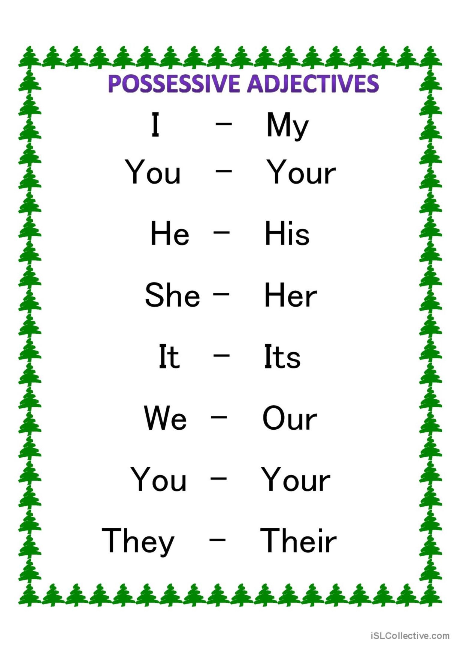 possessive adjectives printable activities