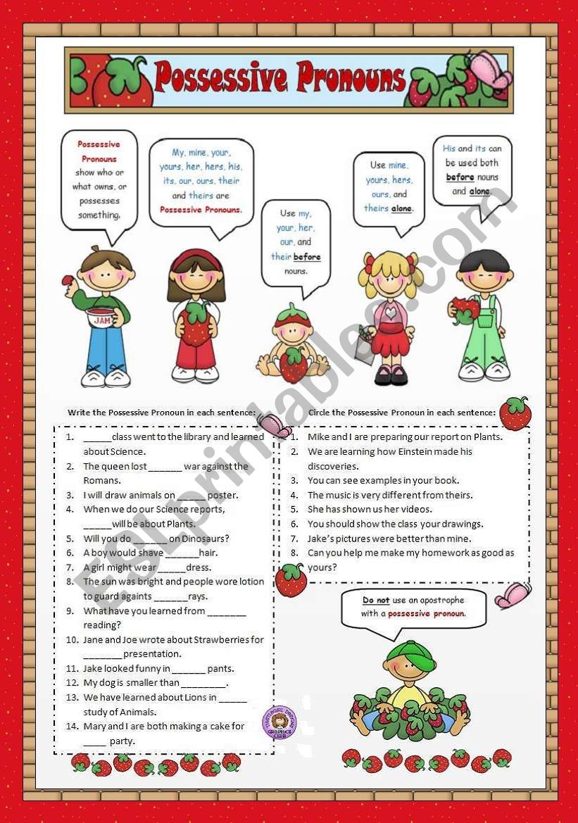 Possessive Pronouns Worksheets Grade 2 My XXX Hot Girl