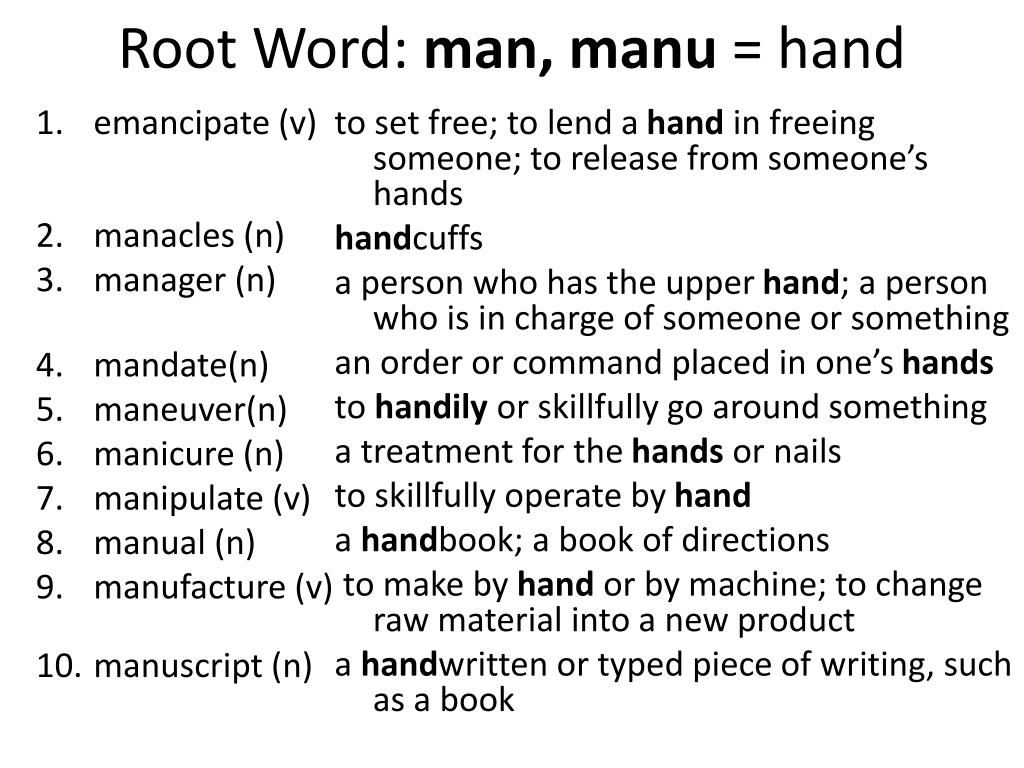 ped root word printable activities