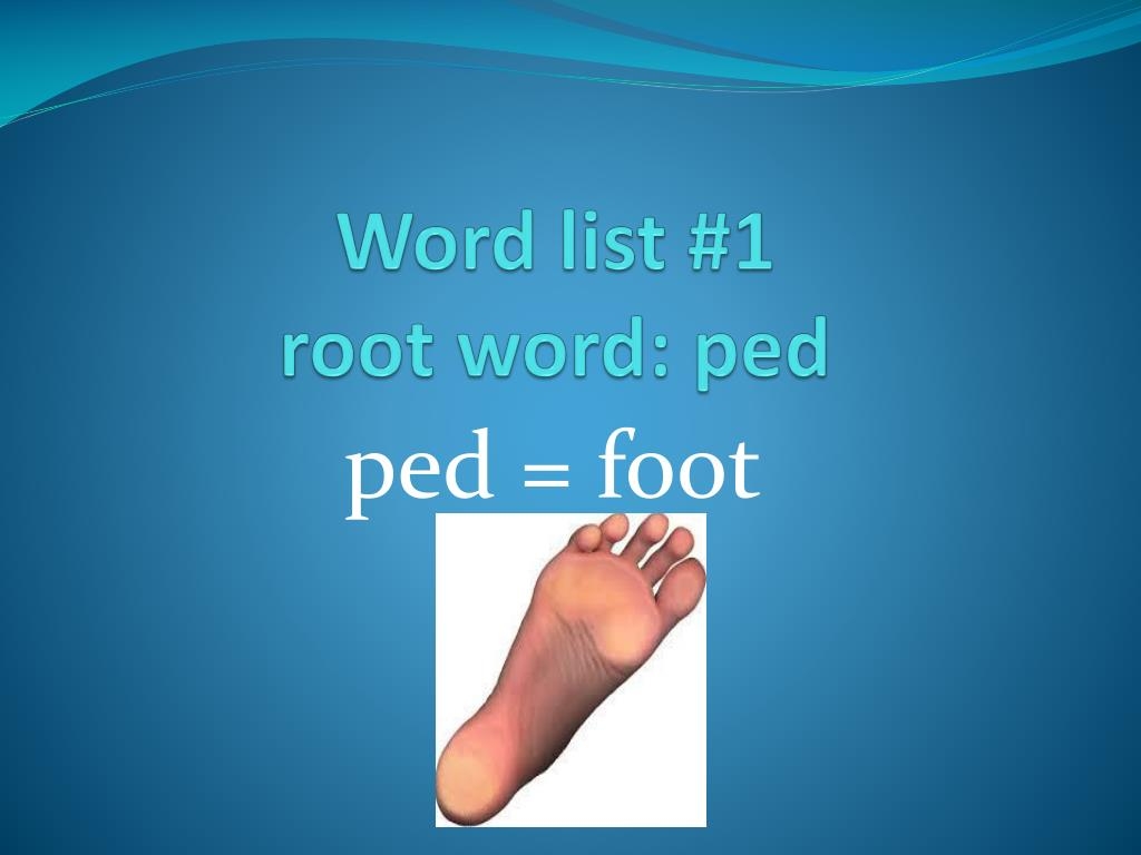 PPT Word List 1 Root Word Ped PowerPoint Presentation Free 