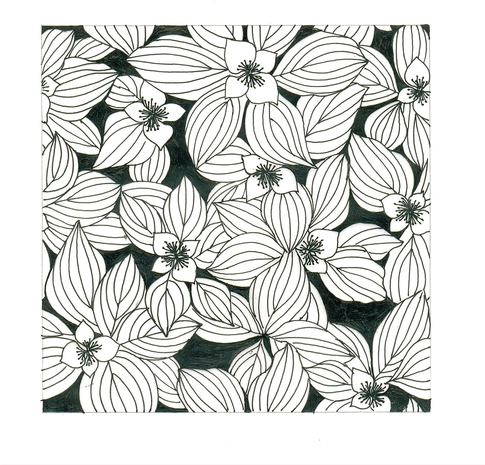 Print Design Black And White Prints
