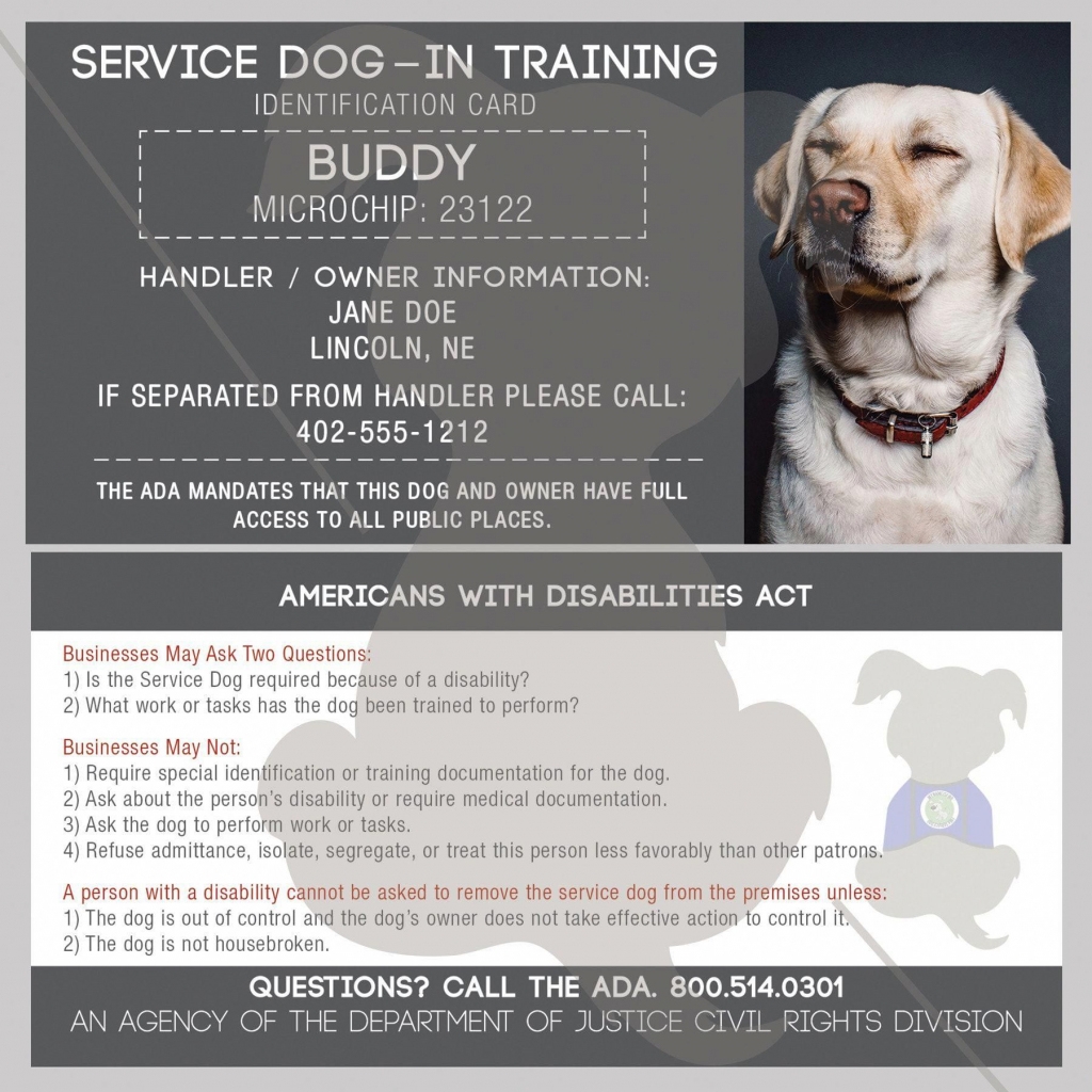 free printable ada service dog card template
