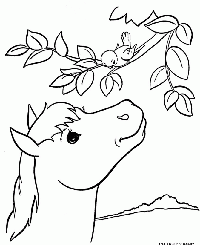 printable animal pictures