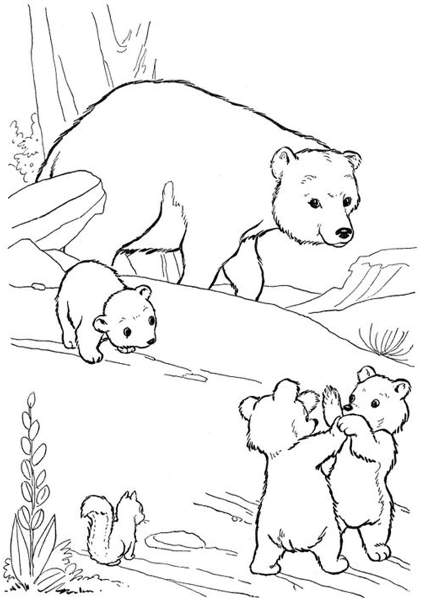 Printable Bear Pictures To Color