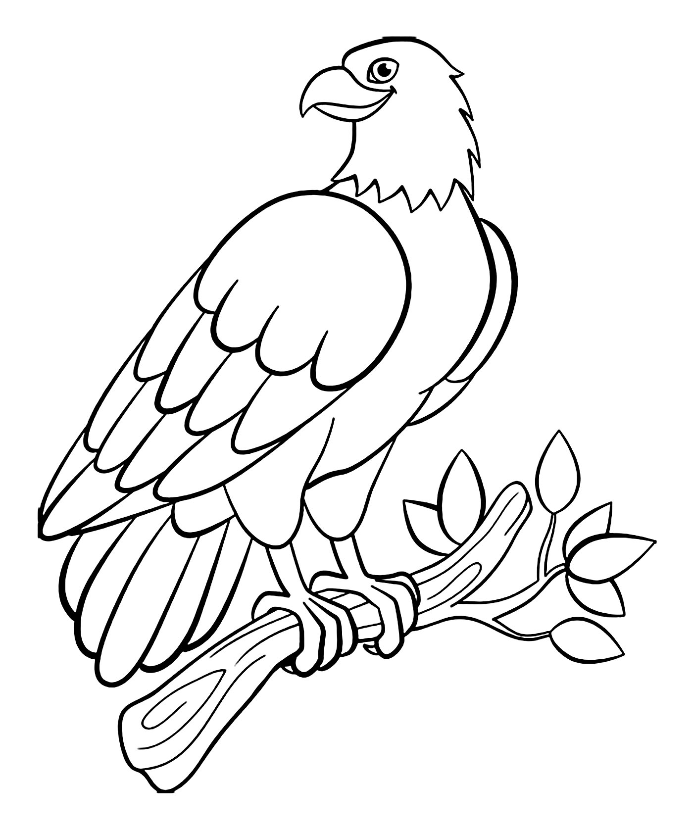 printable bird pictures to color