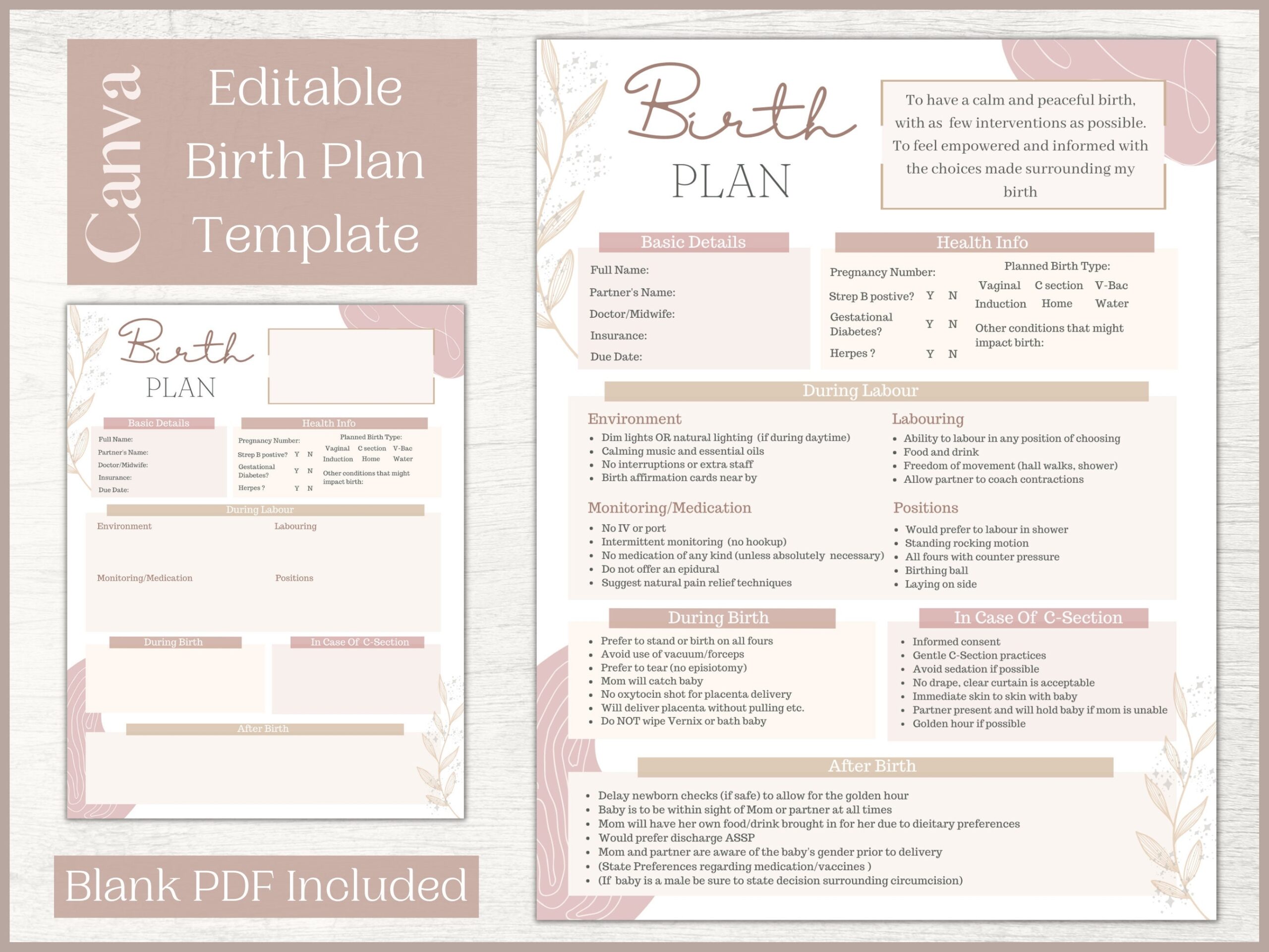 Printable Birthing Plan Template Doctemplates Vrogue co