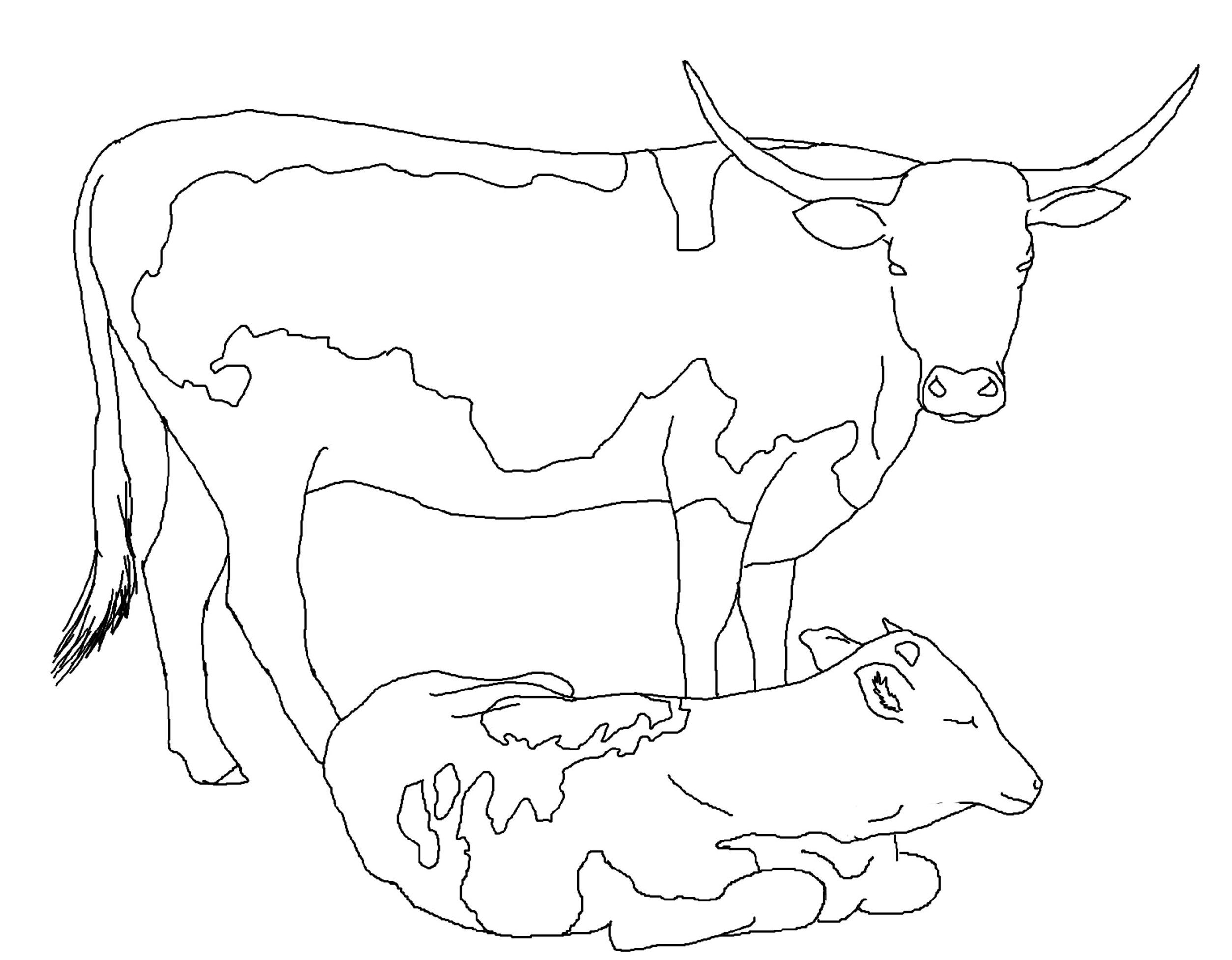 Printable Coloring Pages Of Cows Warehouse Of Ideas