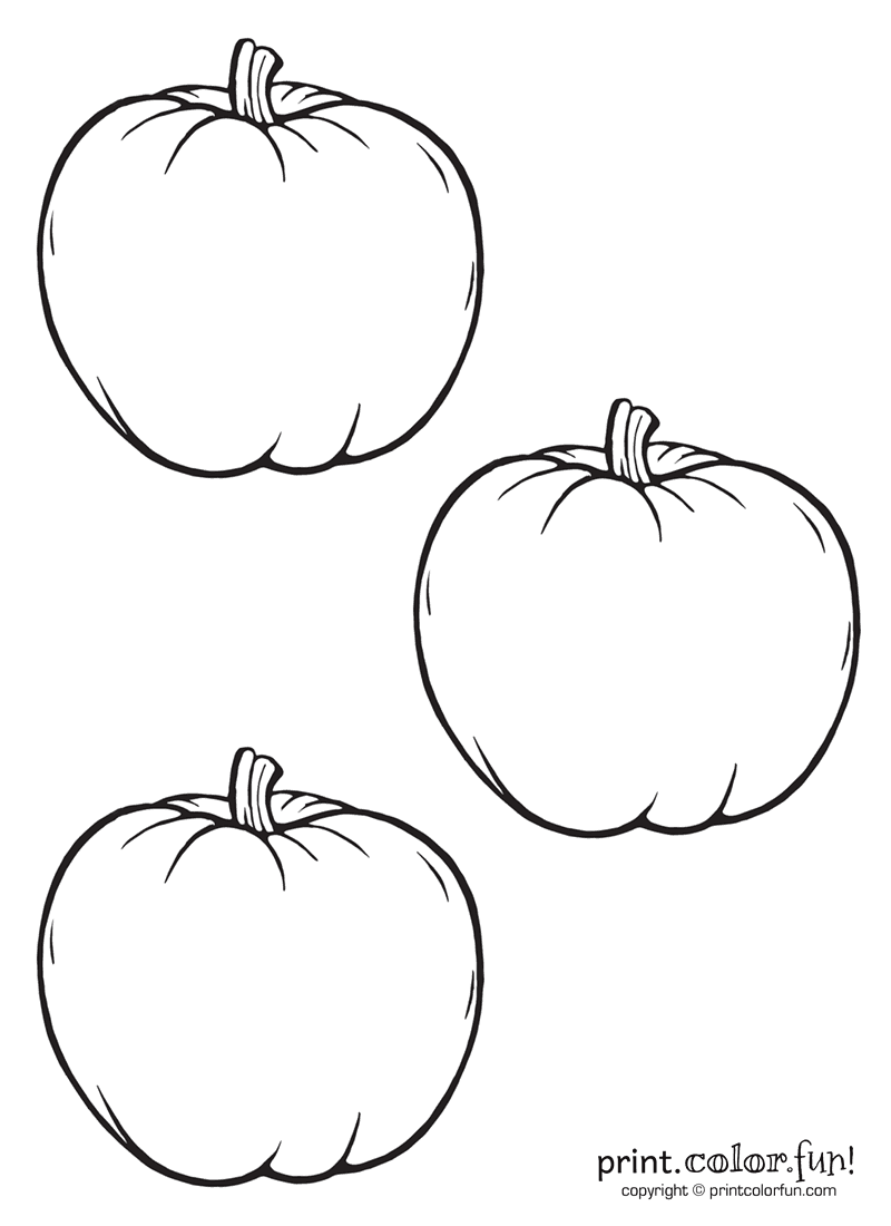 free printable coloring pictures of pumpkins