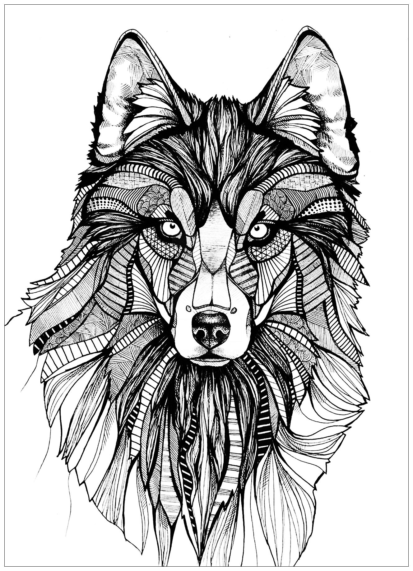 Printable Coloring Pages Of Wolves Printable Word Searches