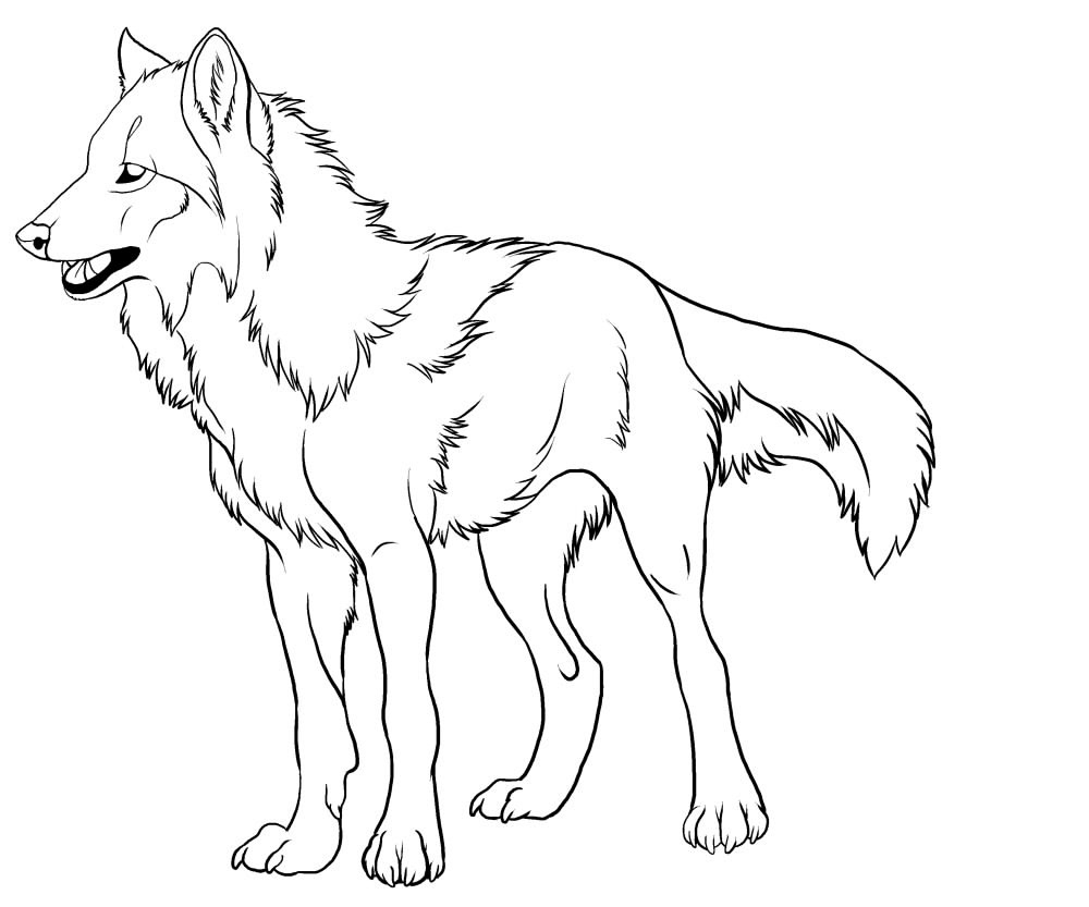 printable coloring pictures of wolves