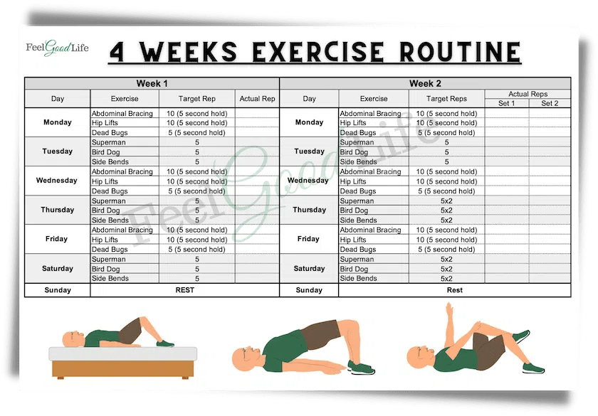 Printable Core Exercises For Seniors Printable Word Searches