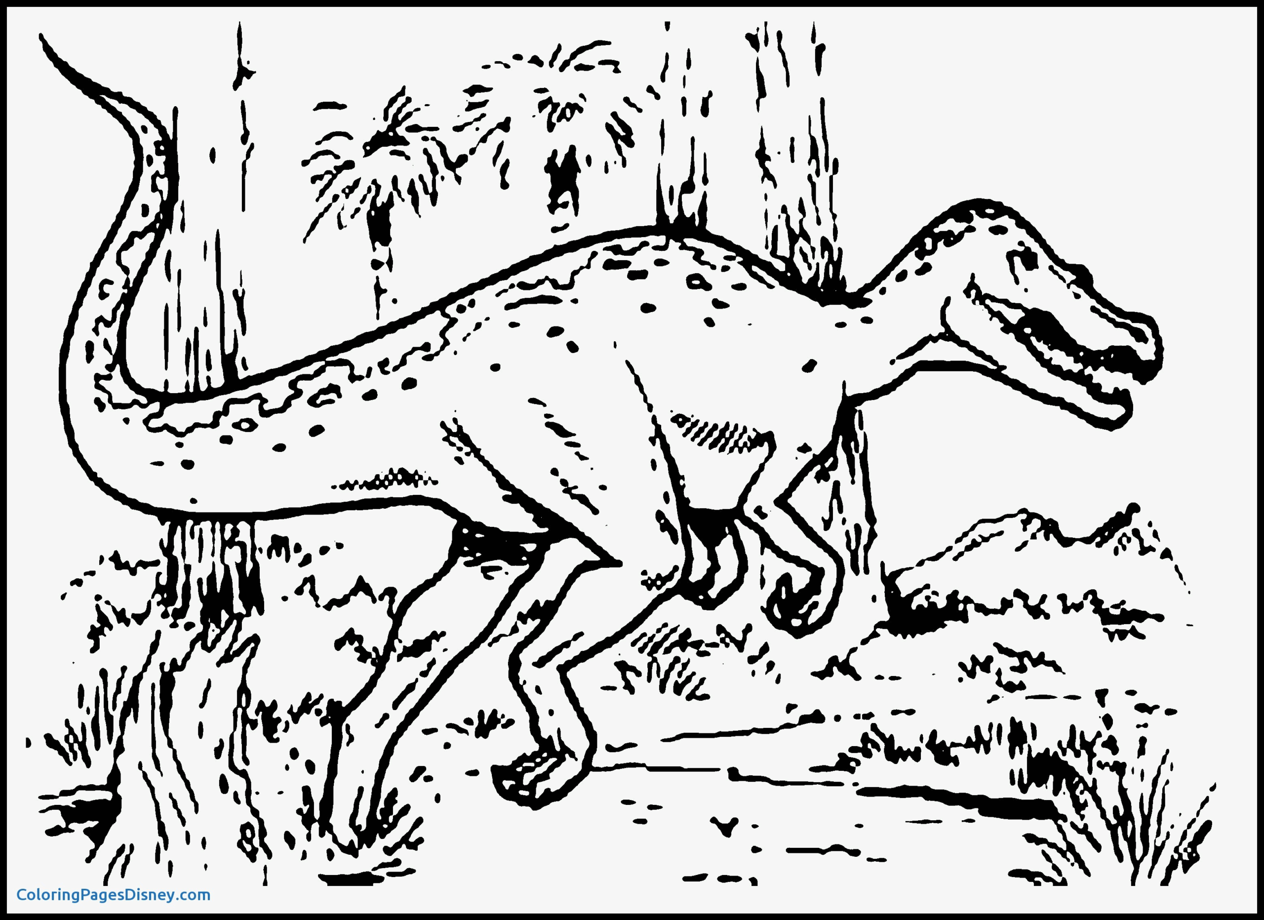 dinosaur printable activities