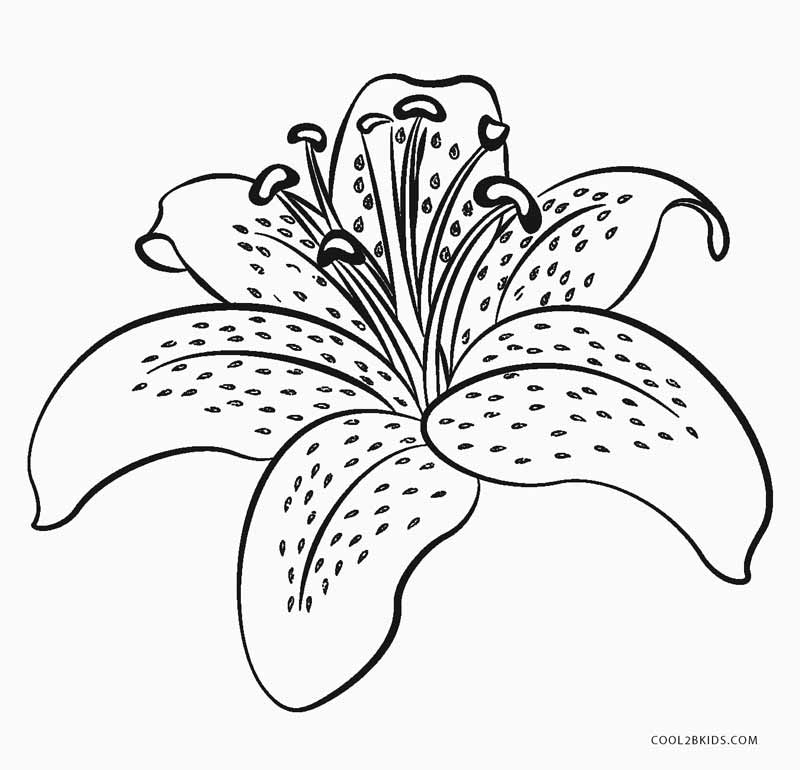 Printable Flower Color Pages