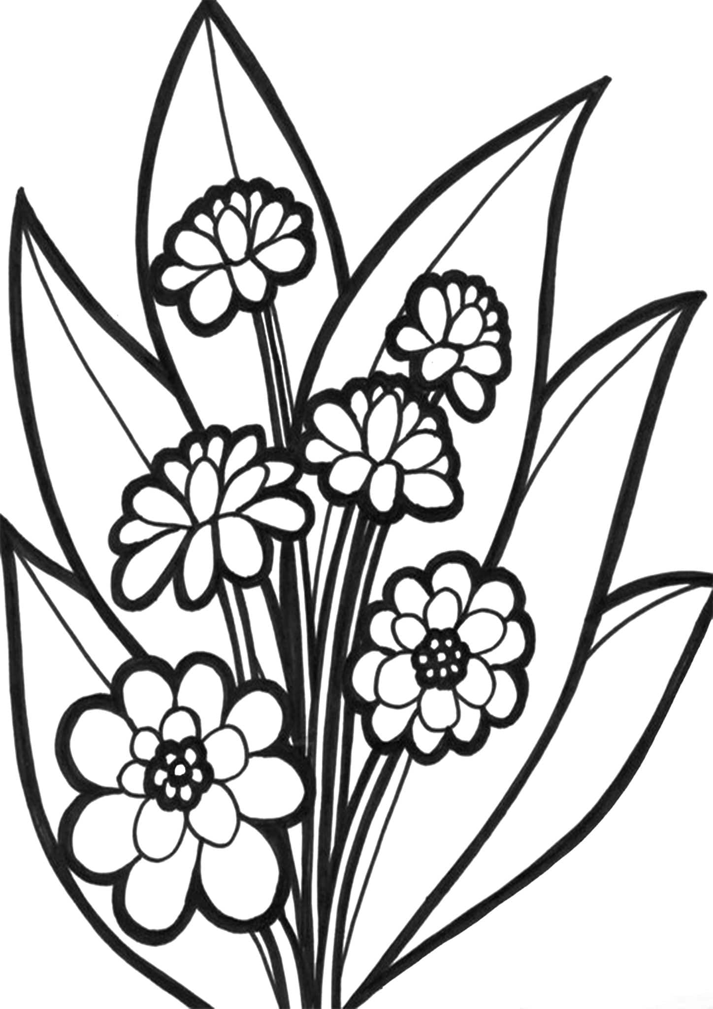 Printable Flower Pictures To Color