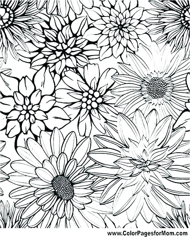 Printable Graphic Designs Free Printable Templates
