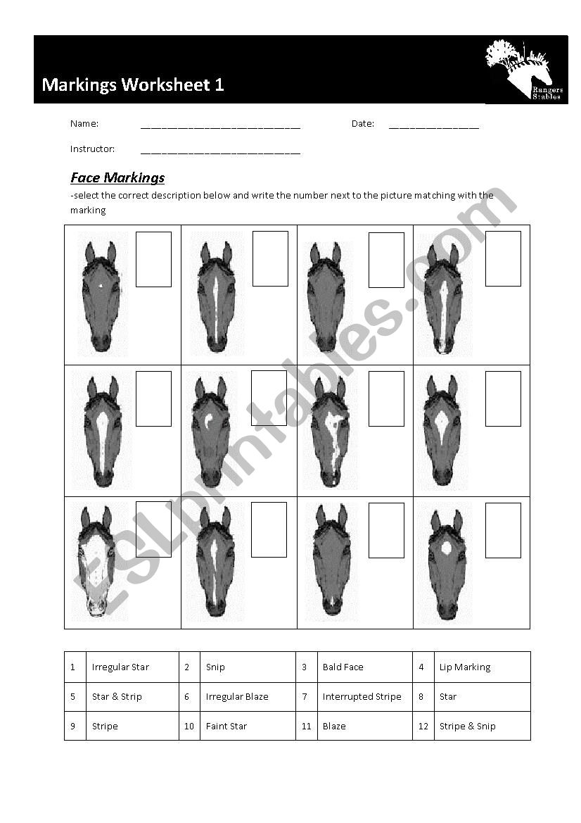 Printable Horse Care Worksheets Printable Worksheets