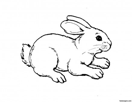 Printable Kids Coloring Pages Animal Rabbit Free Kids Coloring Pages 